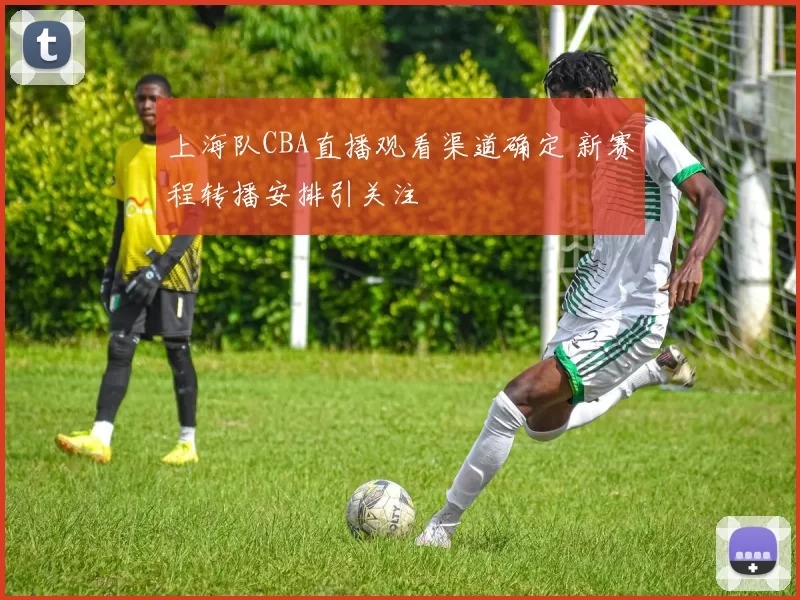 上海队CBA直播观看渠道确定 新赛程转播安排引关注